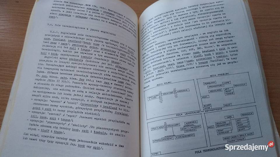 Nienaukowy i naukowy obraz morza Jolanta