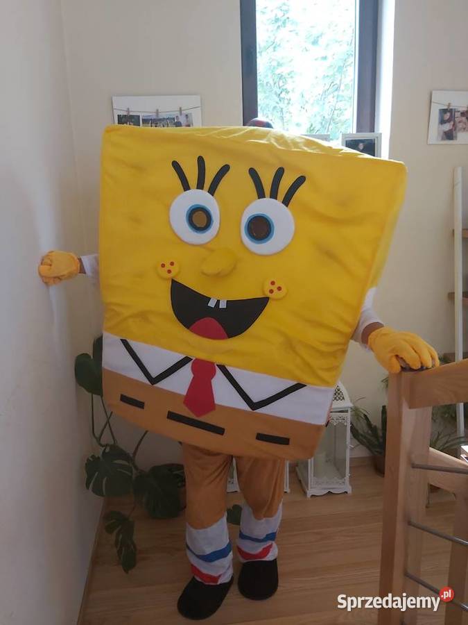 Żywe Maskotki Stroje Reklamowe Wypożyczenie śląskie Ćwiklice