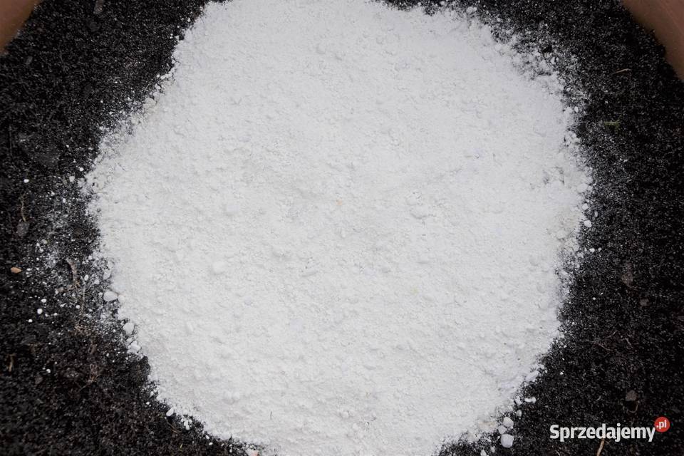 Wapno Nawozowe z Morawicy Magnezowe Kreda HURT podkarpackie Rzeszów