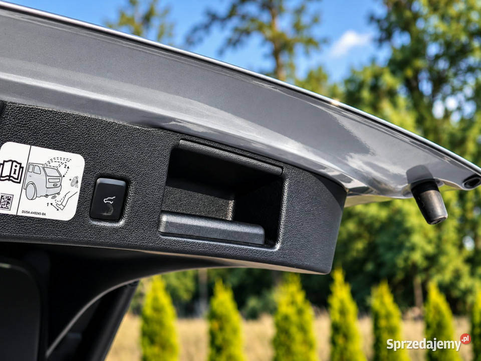 Ford Kuga III 2019 Kuga wielkopolskie