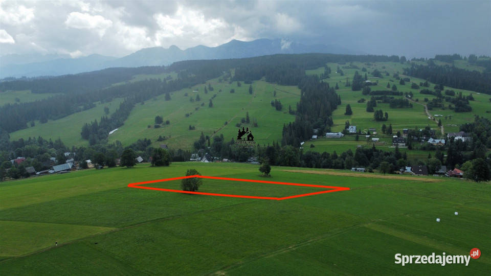 Grunt Dzianisz 4570m2 małopolskie sprzedam