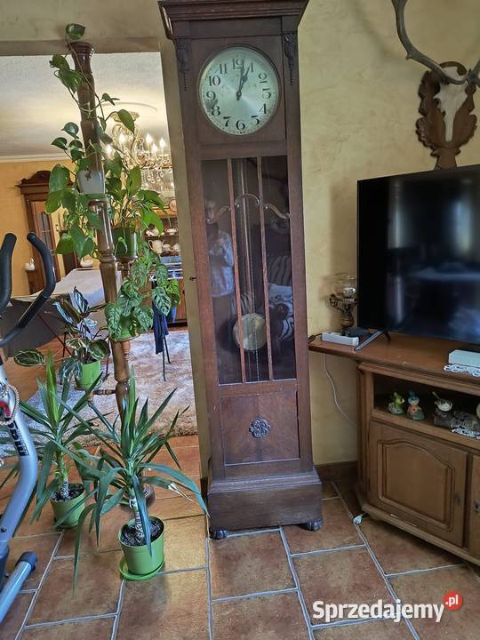 Drewniany zegar stojący z wahadłem elegancki Gliwice