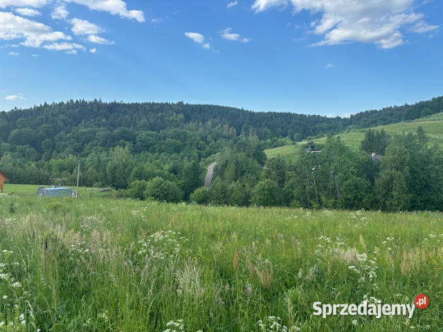 Działka budowlana Baligród na sprzedaż Sprzedaż podkarpackie