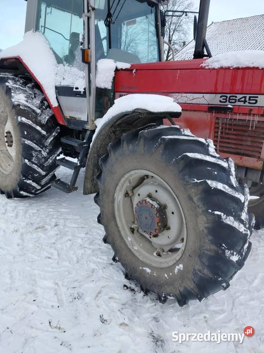 Masey Ferguson 3645 Biskupiec