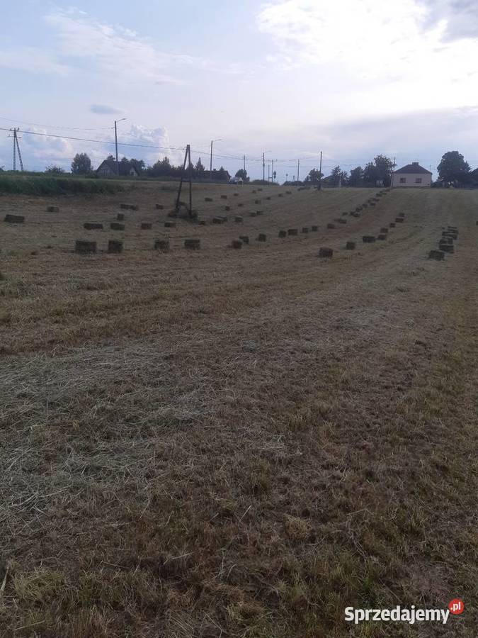 Siano kostka koni królików bydła Trawy, słoma Kończyce Małe sprzedam