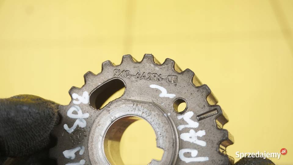 XF XJ 30 D TD V6 12r 306DT kolo rozrzadu na świętokrzyskie Suków