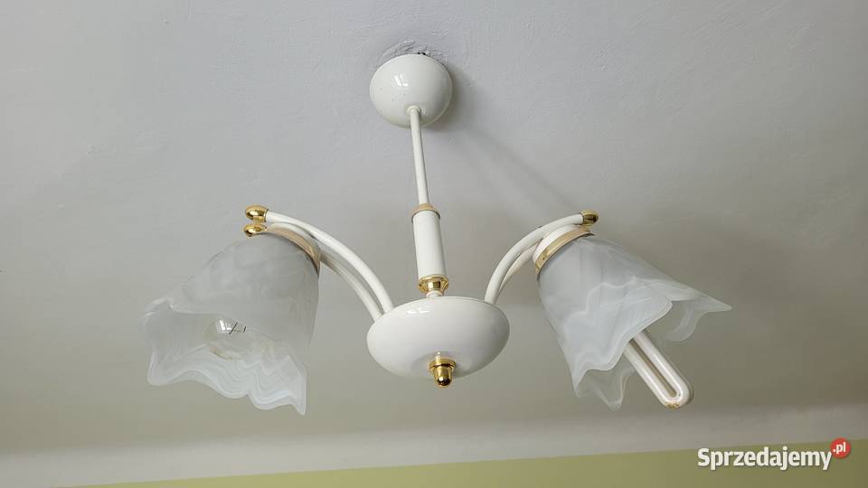 Żyrandol dwuramienny lampa wisząca Oświetlenie Kielce