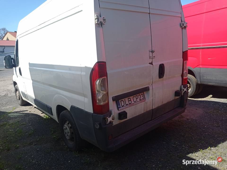 Fiat Ducato Dostawczy Bus Ducato Lubań