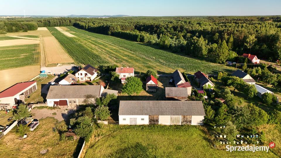 Wyjątkowe siedliskogospodarstwo liczne Sprzedaż