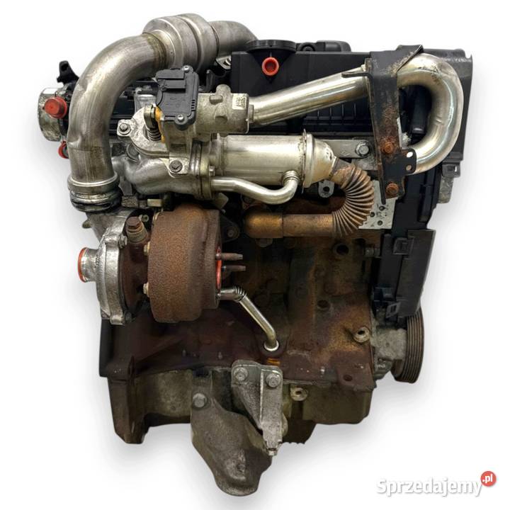 SILNIK K9K282 Nissan Qashqai J10 15 DCI 106 osobowe Chełm