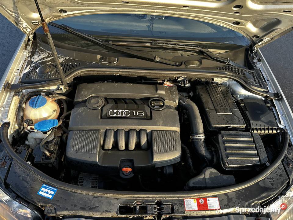 Audi A3 8P Sportback Ostrów Wielkopolski