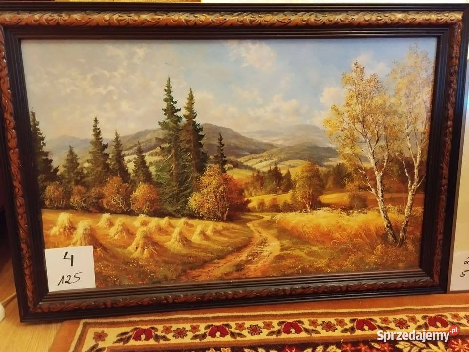 obraz obrazy obrazek spore wyprzedaż Gorzów Wielkopolski