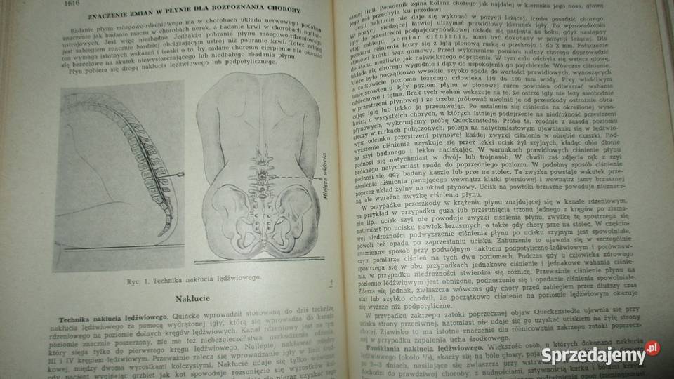 Choroby wewnętrznered H Dennig Berger medycyna Łódź