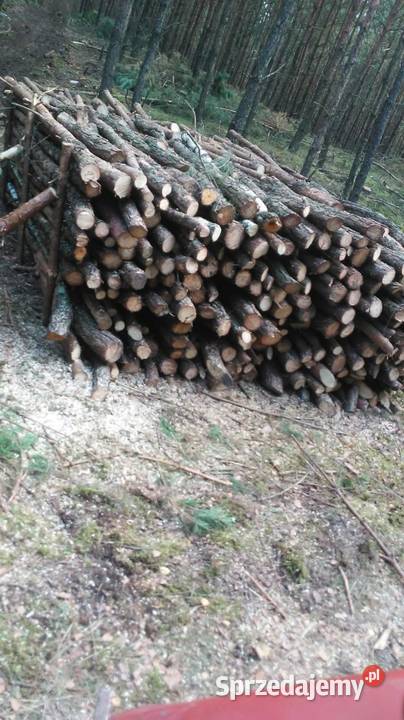 Drewno Opałowe kominkowe Łupane