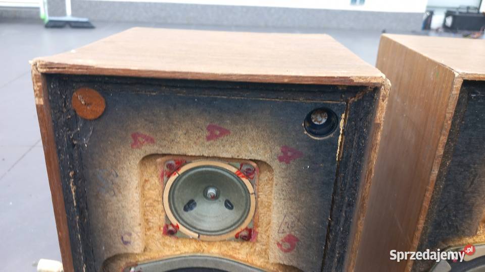 Tonsil ZG108 S2 na kobaltach płutno Radom