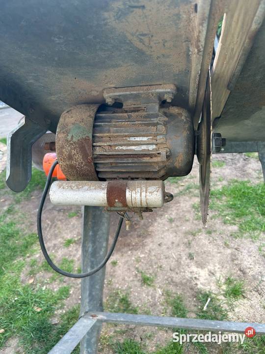 Sprzedam krajzege Krotoszyn