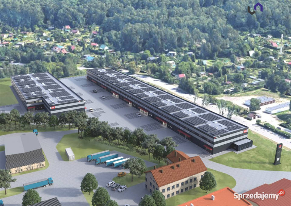 wynajmu lokalu 235m2 Sosnowiec