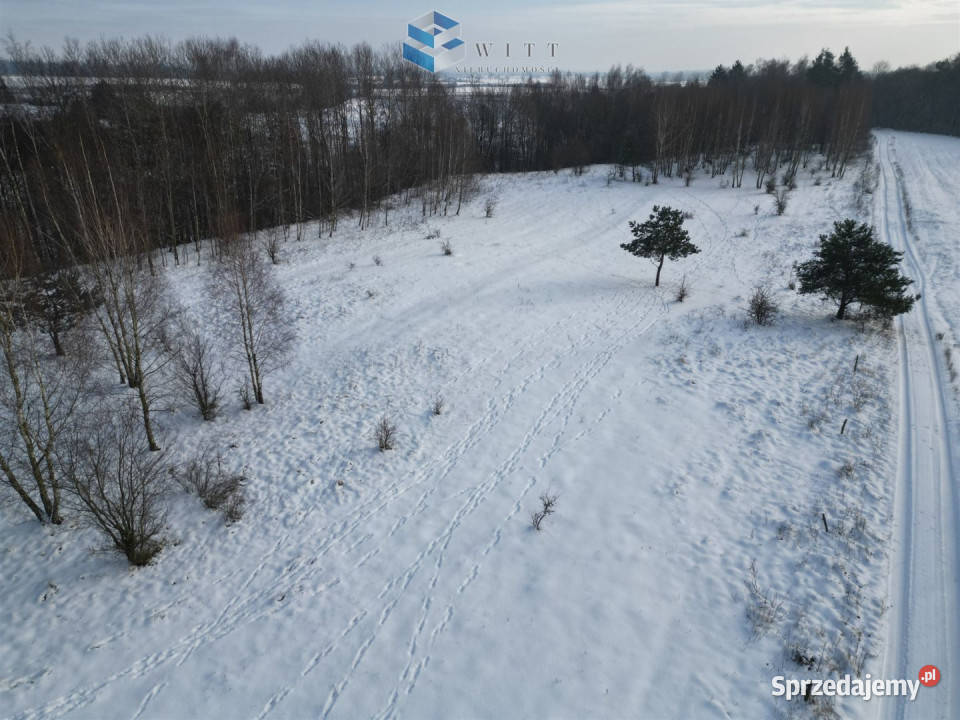 Działka Marwałd 150700m2 Sprzedaż