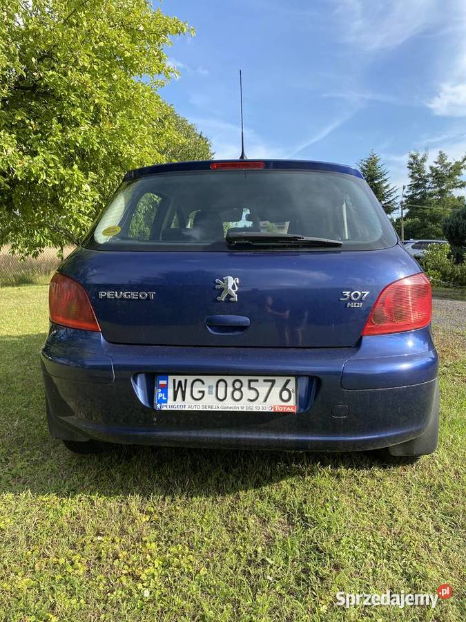Peugeot 307 salon Polska pierwszy właściciel