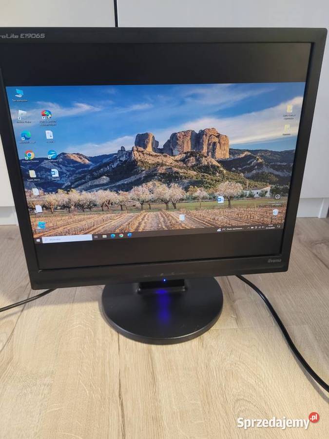Monitor Iiyama 19 Iiyama Gdańsk