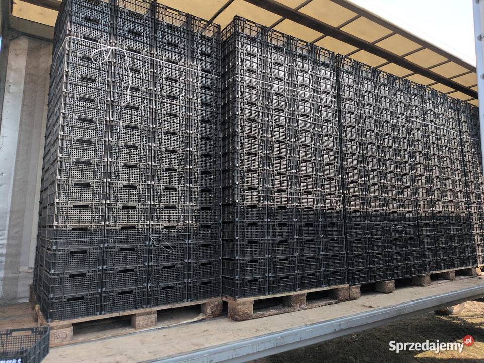 Skrzynki plastikowe Casi Skrzynki i opakowania lubuskie