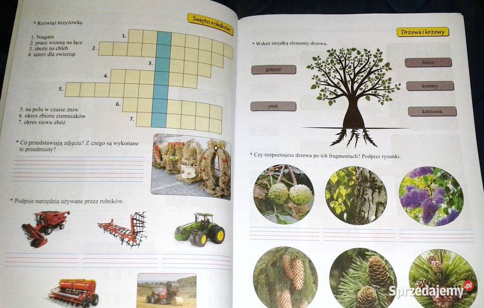 Zielona podróż kl 3 Ewa Borysiuk Chełm