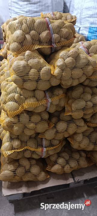Ziemniaki Jurek Zygry sprzedam