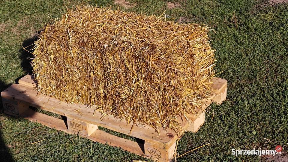 SianoSłoma Owsiana Żytnia kostkasipma224 2026r Rząśnia