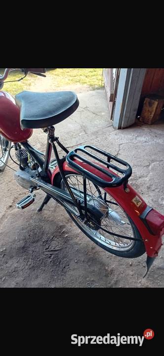 Komar Komar lubuskie Ośno Lubuskie sprzedam