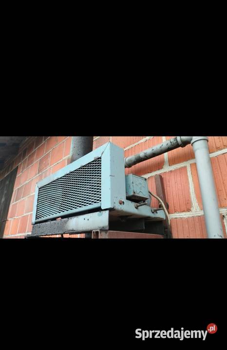 Dojarka przewodowa Lisków