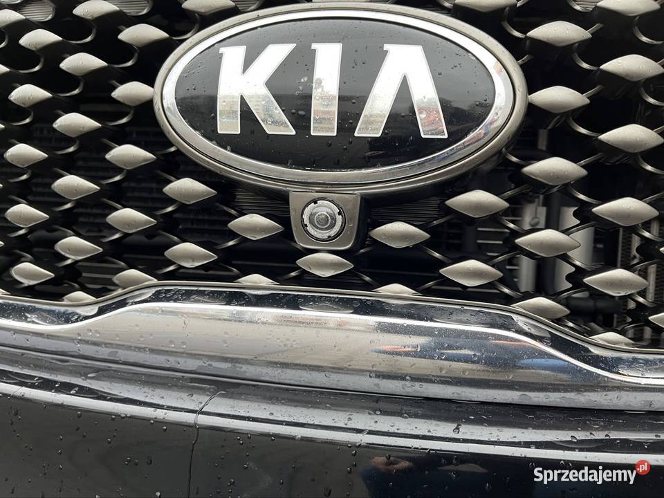 Kia Sorento Sorento Toruń