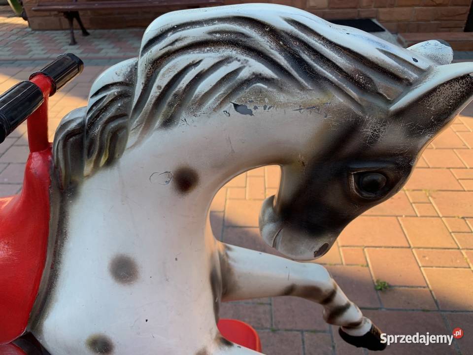 Automat zarobkowy bujak zarobkowy KONIK Zamość