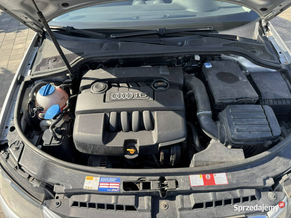 Audi A3 3drzwiowe Audi 3 16 mpi 102 Konie Xenon lakier metallic Samochody osobowe mazowieckie