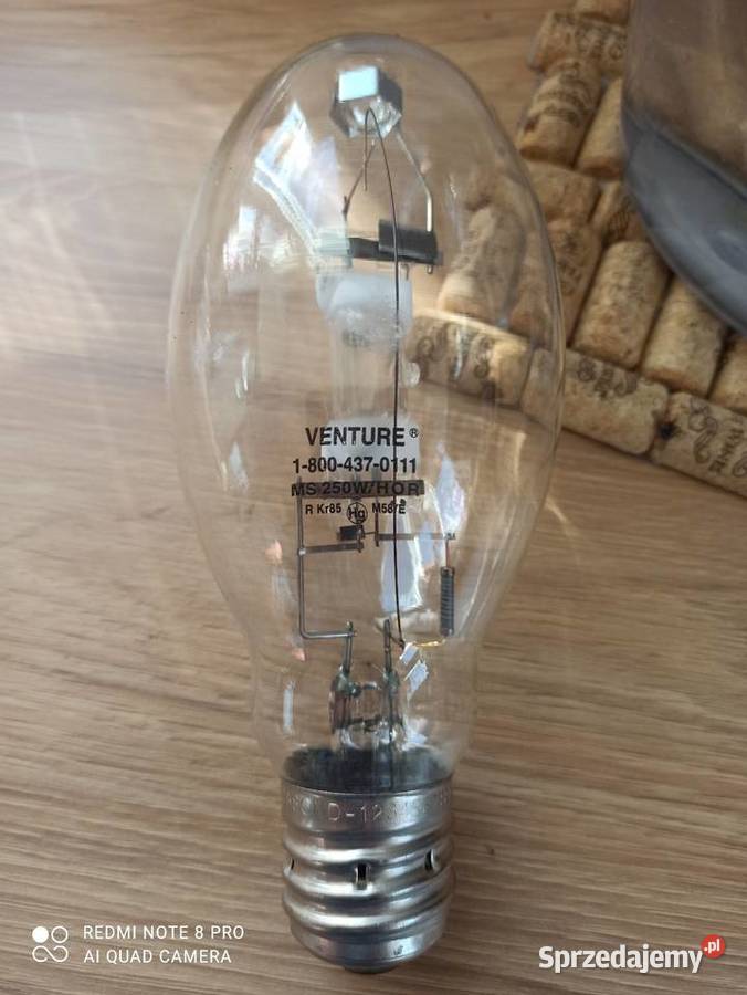 żarówki sodowe zachodniopomorskie Będzino