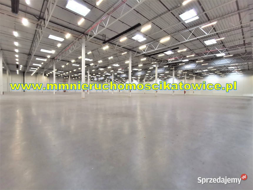 Powierzchnie magazynowe do wynajęcia do 10000 m2 sprzedam