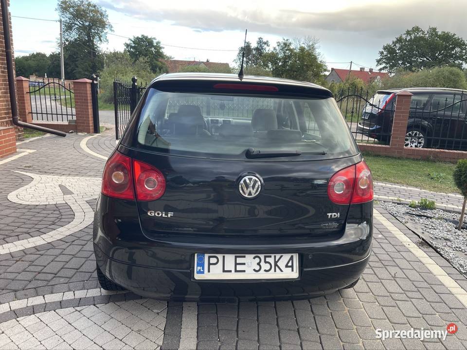 Volkswagen Golf V z 2007 roku z silnikiem 19 TDI Orsk