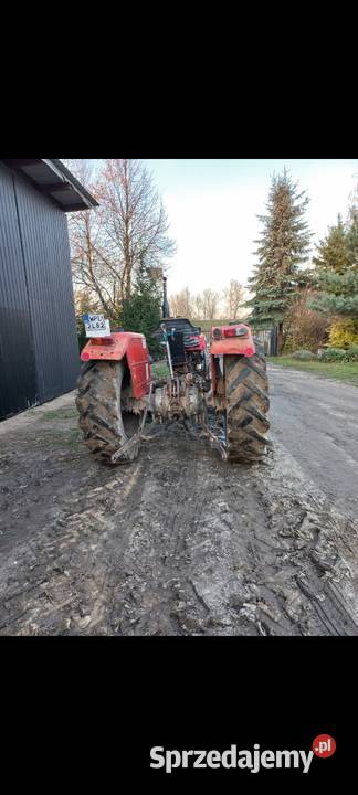 Ciągnik ferguson ursus zetor Gąbin