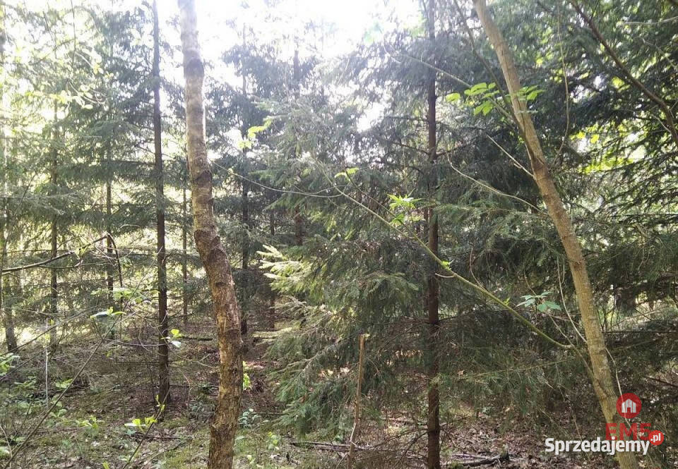 sprzedaży działki 1100m2 JankowoMłodzianowo podlaskie Jankowo-Młodzianowo