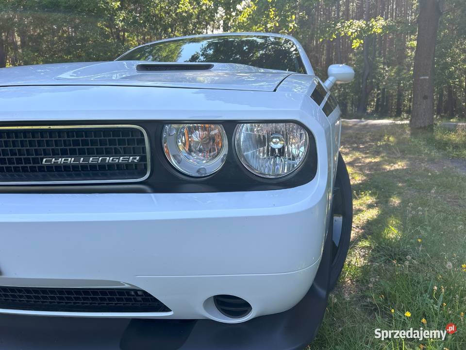 Dodge Challenger 36 l 308 sprzedam