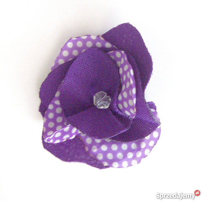 fioletowa broszkibroszka w groszkibroszka Katowice