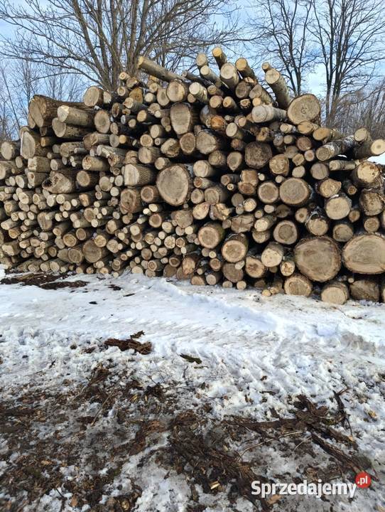 Drewno w wałkach S2A 250 Osika Sosna Brzoza Dąb małopolskie Bolesław