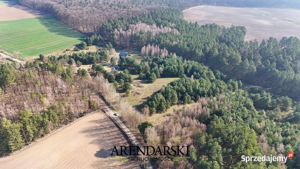 DZIAŁKI W MALOWNICZEJ OKOLICY Nowe Dzieduszyce sprzedam