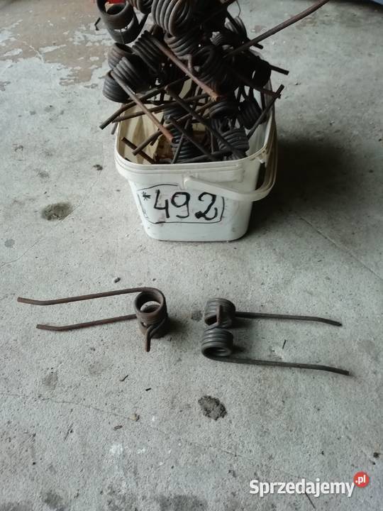 Palec podbieracza jugosłowiański nieuszkodzony Kazanów