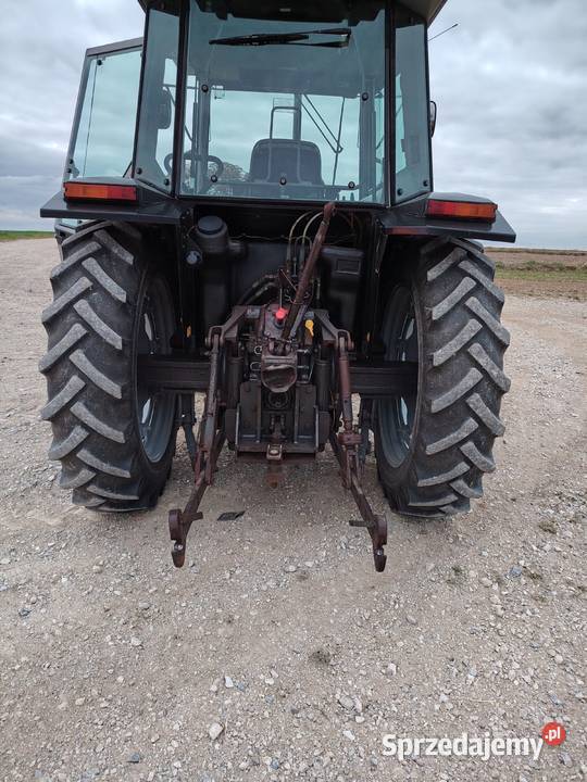 Massey ferguson 3065 świętokrzyskie Bogoria