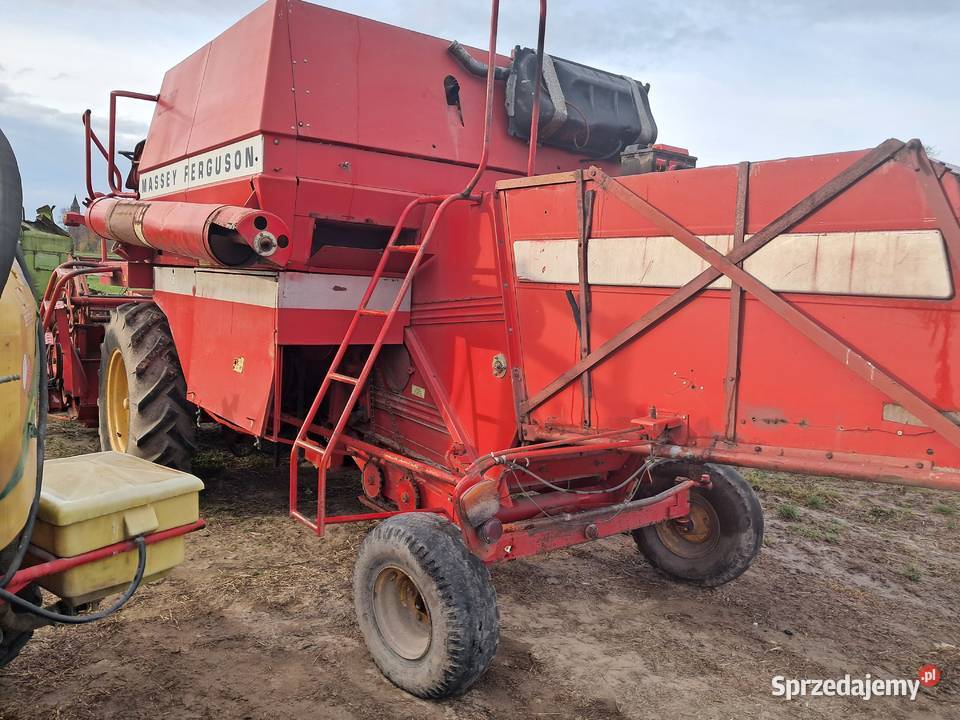 Kombajn Massey Ferguson 206 z sieczkarnia w mazowieckie Radom sprzedam