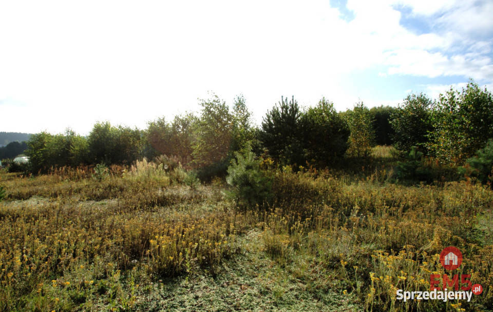 Działka 2806m2 Klimki