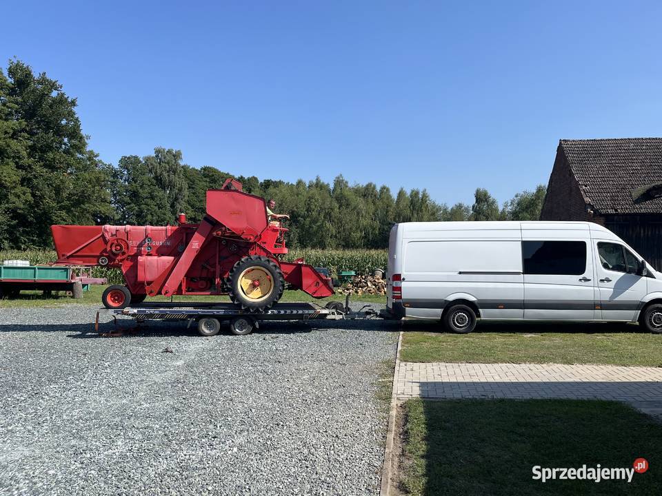Massey Ferguson 86 Żmigród