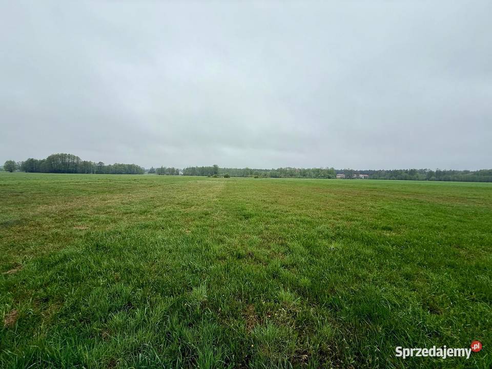 Młyny Piekarskie gmDobradziałka rolna na polna wielkopolskie