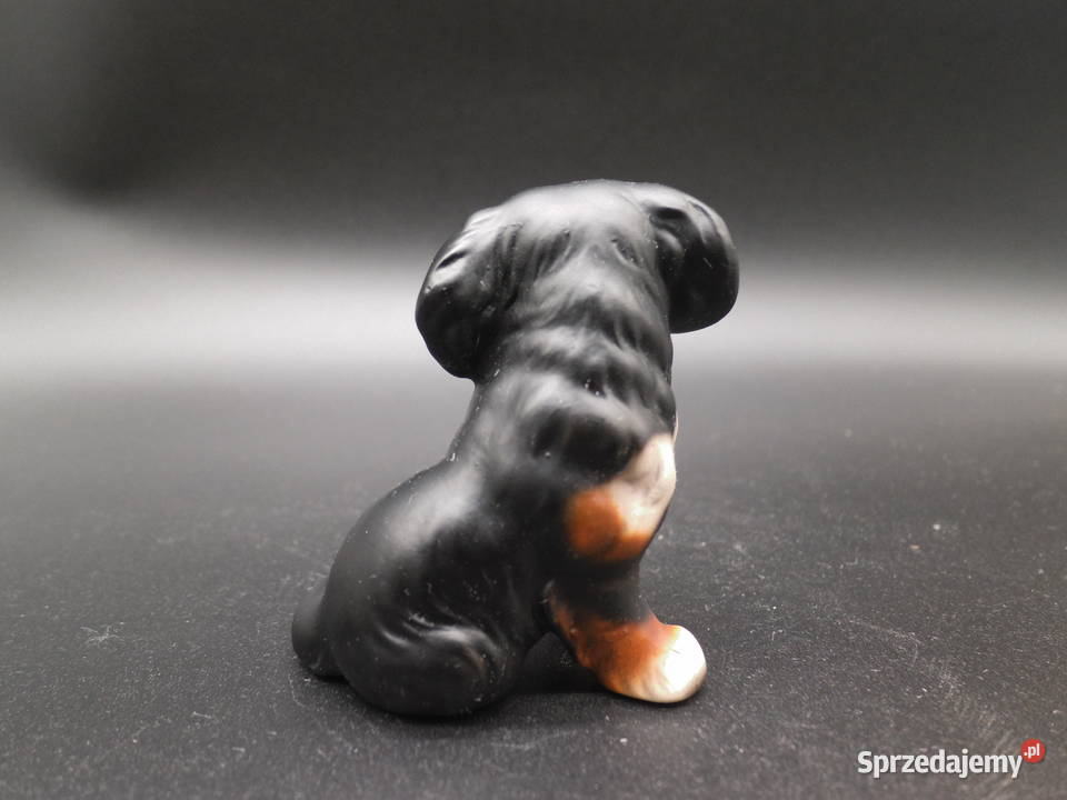 Figurka psa Berneński pies pasterski wielkopolskie Raszków
