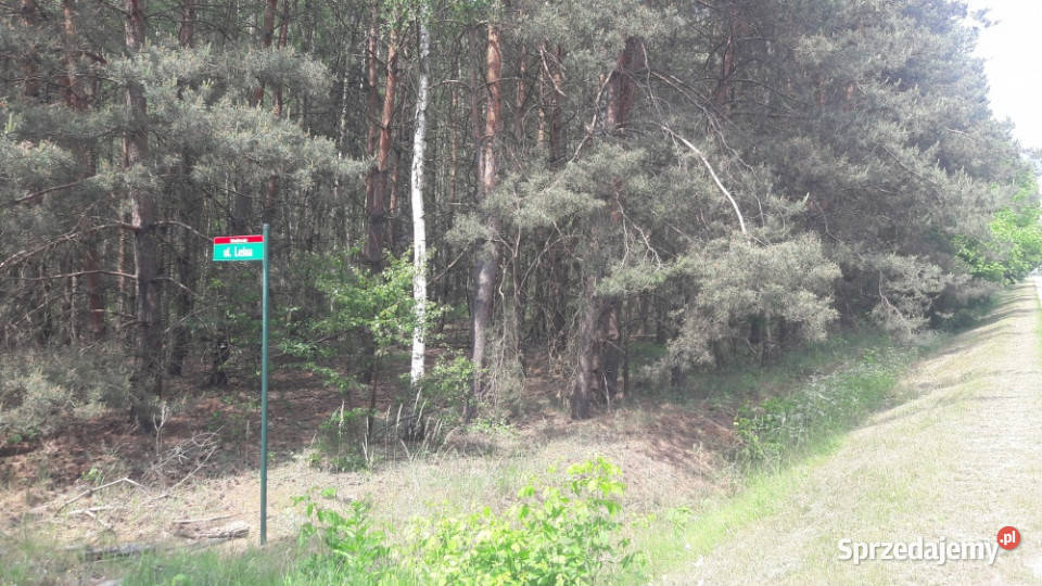 Nowoczesny dom do wykończenia Posiadłość na Sprzedaż Wodzierady